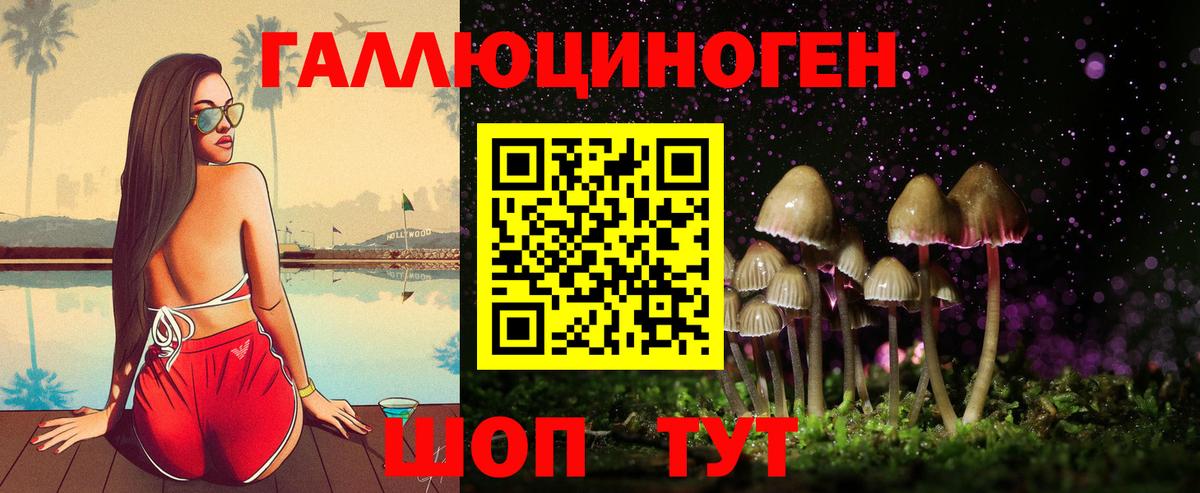 Михайловск  Галлюциногенные грибы Cubensis  Вход с VPN 